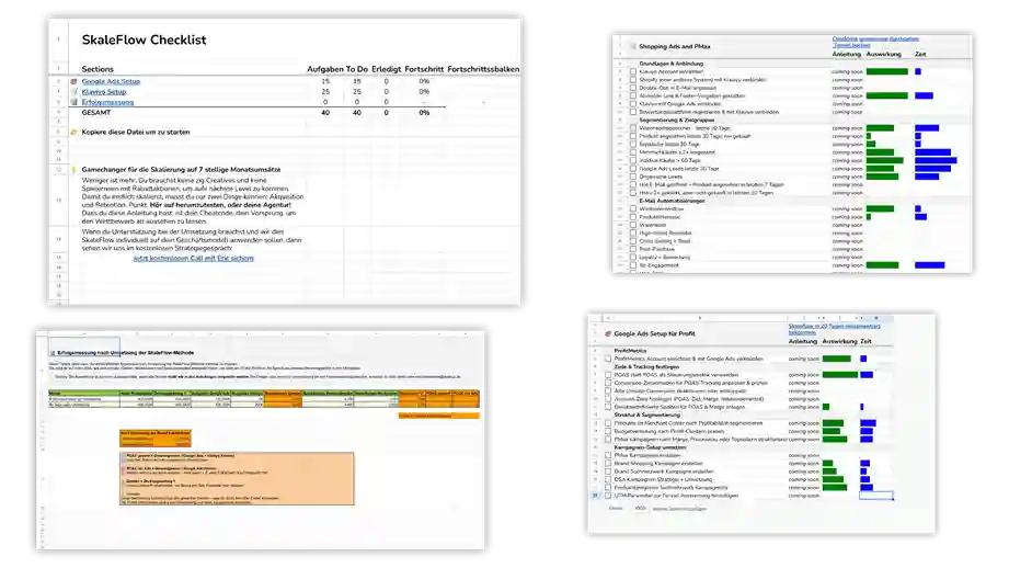 skaleflow checkliste